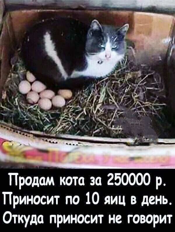 Татьяна А. tweet media