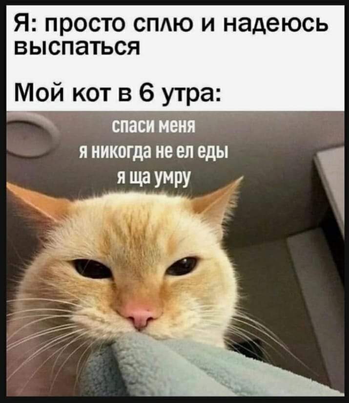 Татьяна А. tweet media