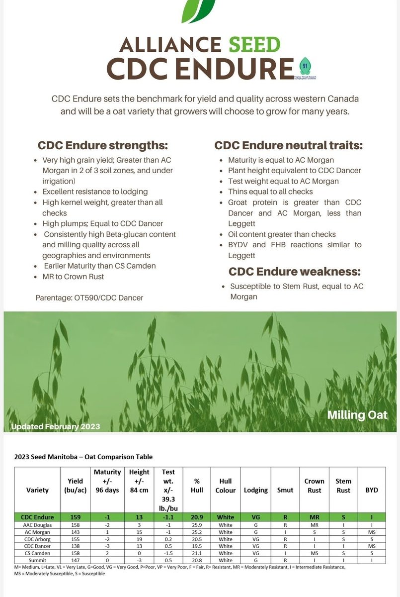 KBIprocessing's tweet image. If you are thinking about sowing oats this spring, we have a couple of really good varieties at a great price. Contact us for more info on CDC Endure &amp;amp; AC Summit Oats.