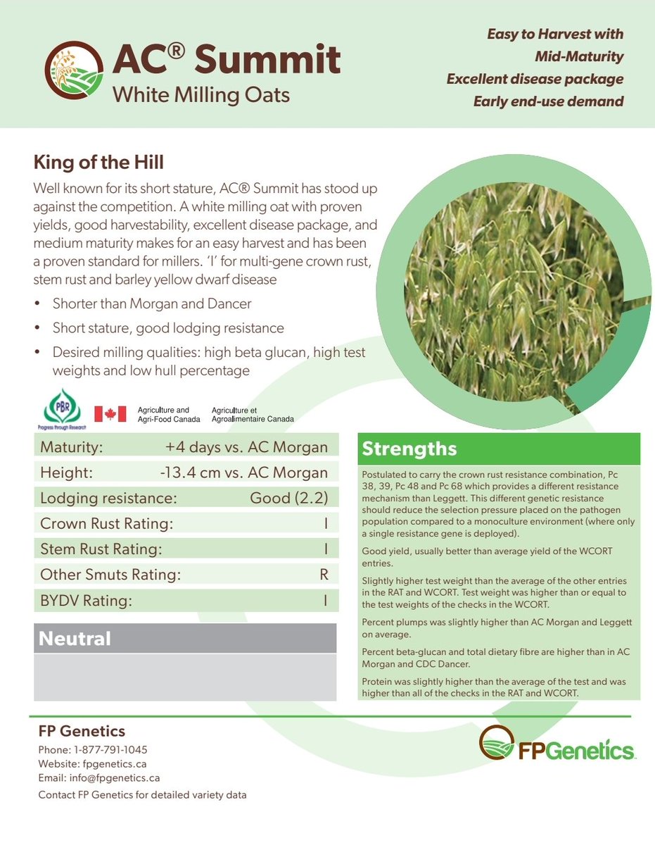 KBIprocessing's tweet image. If you are thinking about sowing oats this spring, we have a couple of really good varieties at a great price. Contact us for more info on CDC Endure &amp;amp; AC Summit Oats.