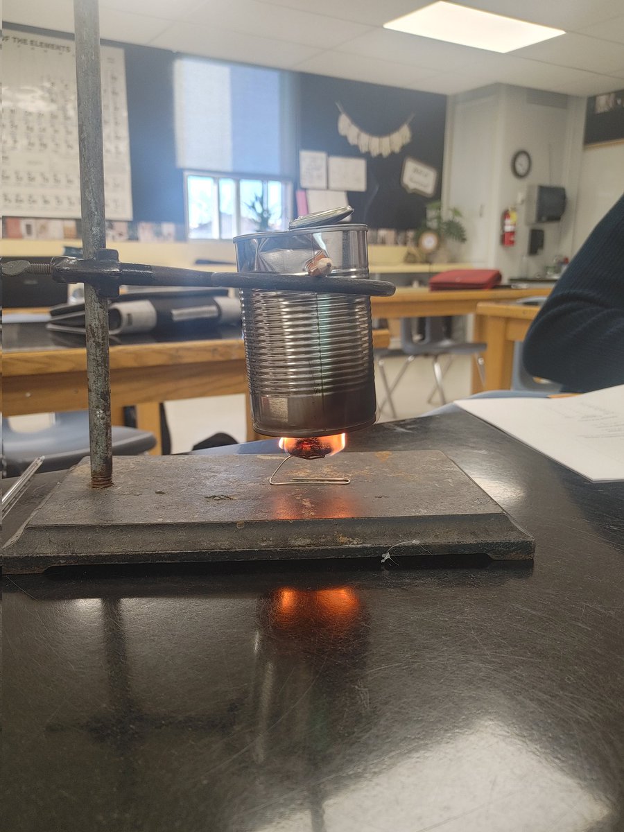 Angie Angle tweet media