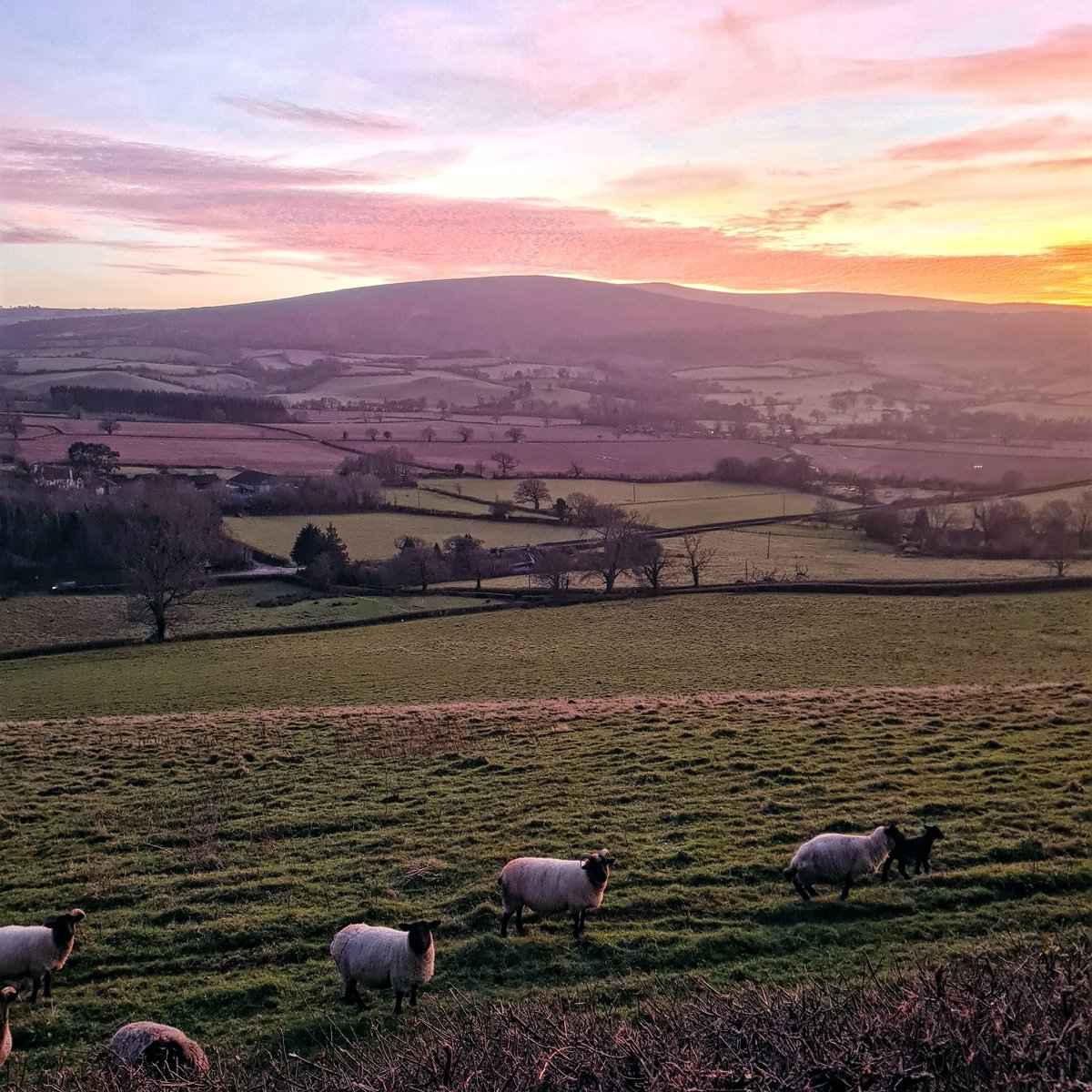 Fading light over the Vale.