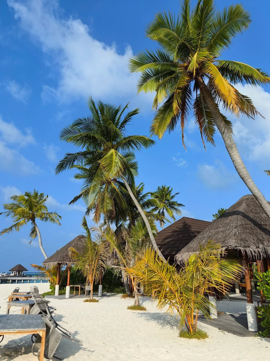 우리는 부서진 채로 태어났고, 문제를 해결하기 위해 살아갑니다.