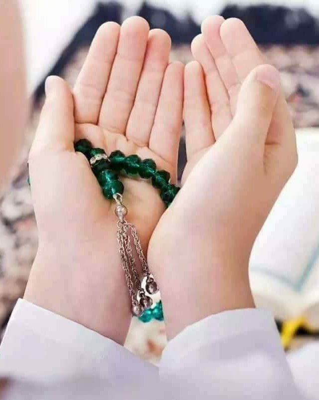 ‘’Sizin hayır bildiklerinizde şer, şer bildiklerinizde hayır vardır. Allah bilir, siz bilemezsiniz.’’💐

Cumanız Mübarek Olsun🤲