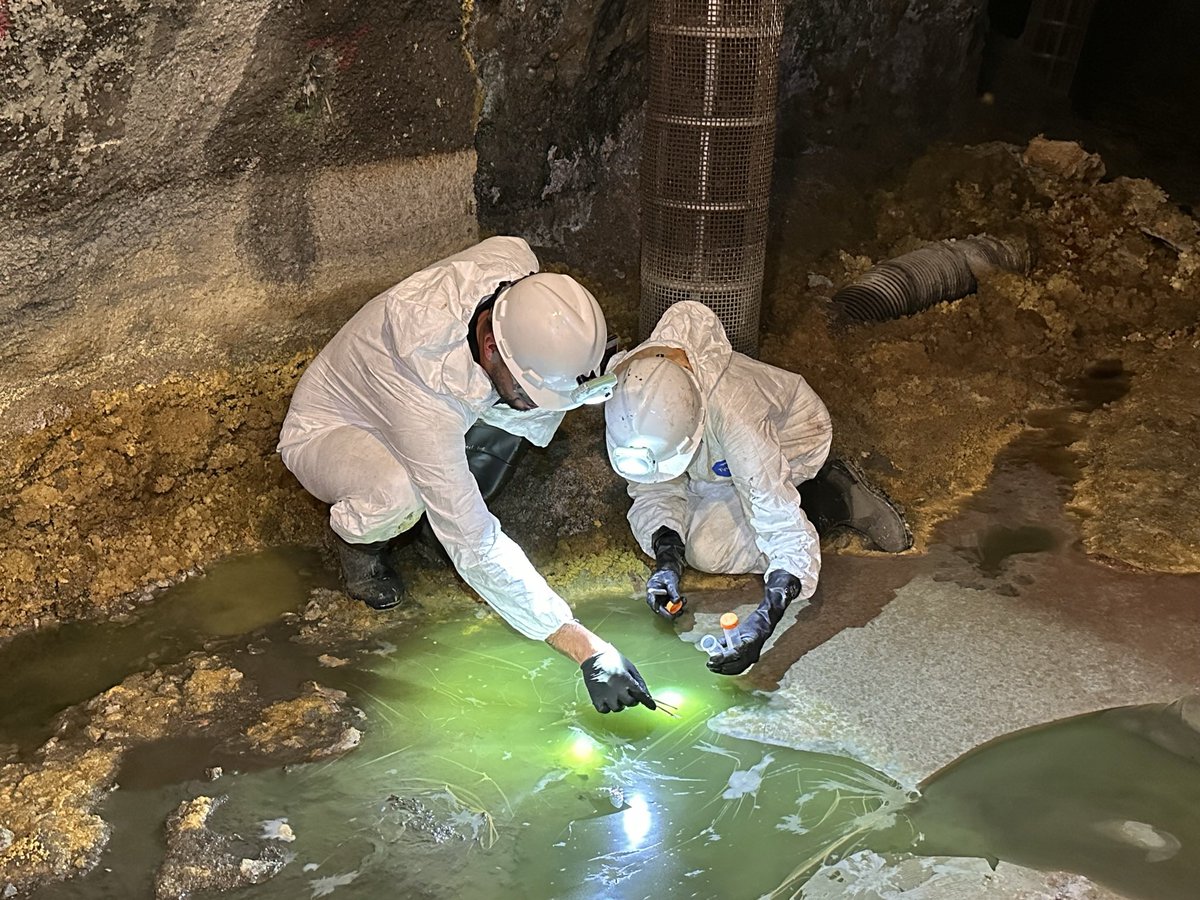 Luis E. Valentín-Alvarado tweet media