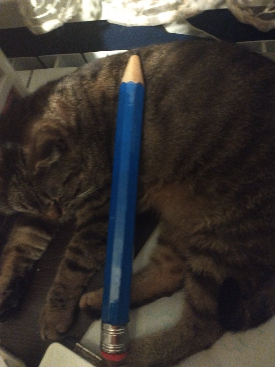 Mmanitobaa1's tweet photo. One of Cookie's most beloved toys is paintbrushes. Allt's a shame she didn't see the giga pencil, I'm sure she would have loved it 💚
Link to speedraw https://t.co/YGfcU0TJnK
#cat #neko #art #drawing #drawingart #anime #animegirl #AnimeArt #manga #girl #cute #animefanart https://t.co/InJumuyuO4