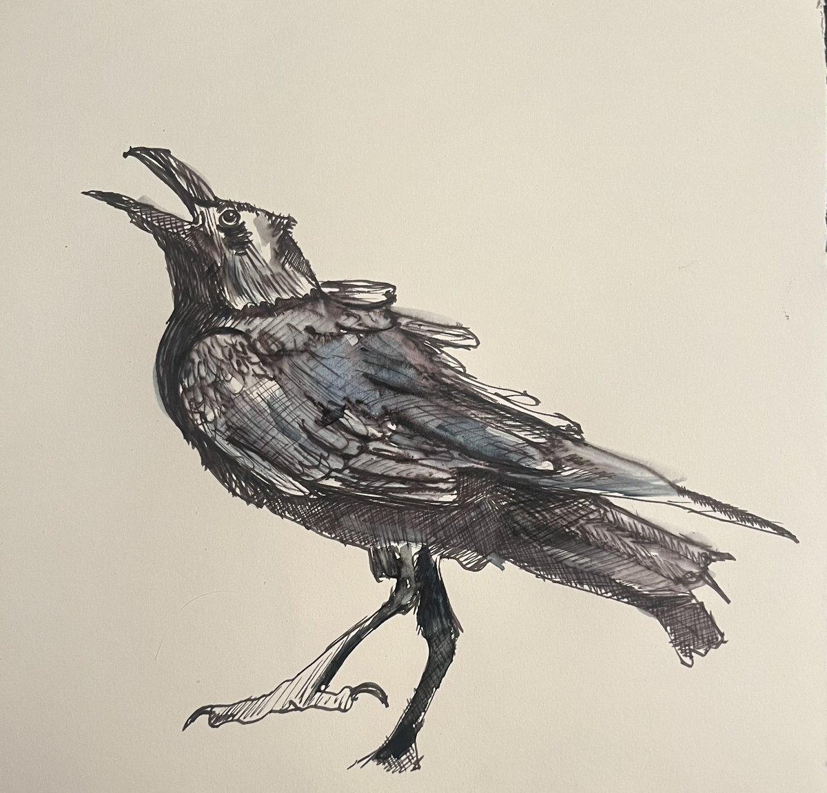 Messing around with a fountain pen and a touch of watercolour #doodle #penandwash #Raven #watercolour #leedsartist @KirkstallArt