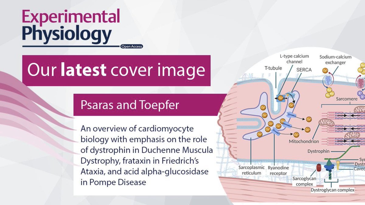 Christopher Toepfer tweet media