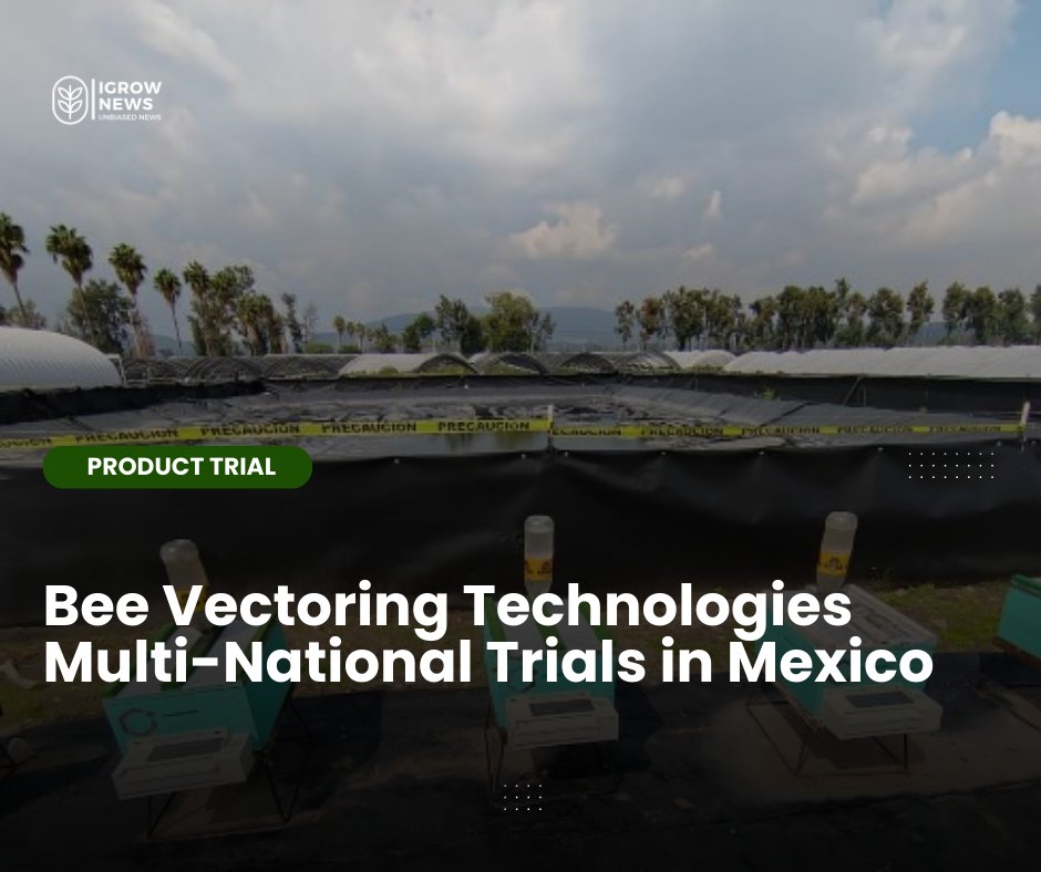 @BeeVTech International Inc. $BEE announces demonstration trials in Mexico with a leading multi-national grower involving BVT’s unique Vectorite with CR-7 biological fungicide & natural precision agriculture system.      

Read more here - >igrownews.com/bee-vectoring-… 

#igrownews
