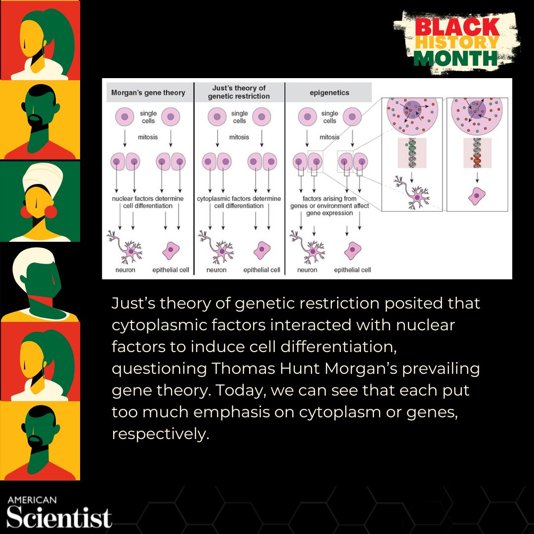 American Scientist tweet media