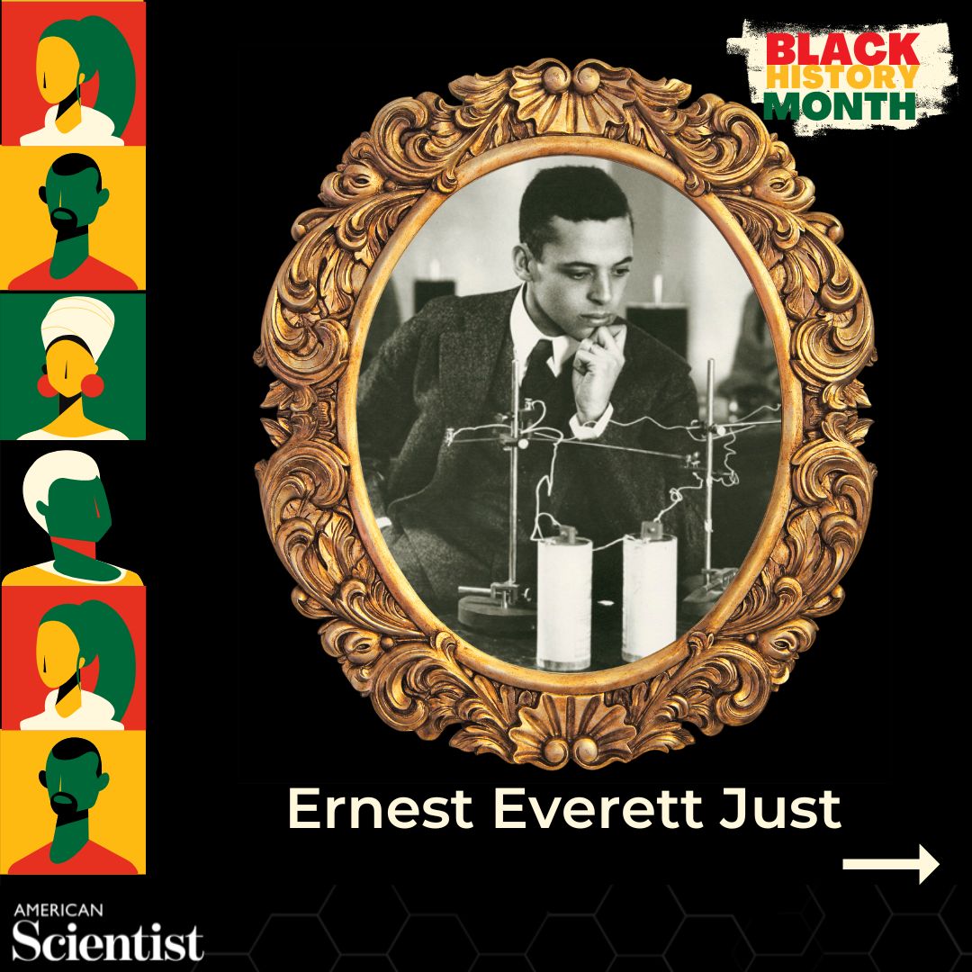 American Scientist tweet media