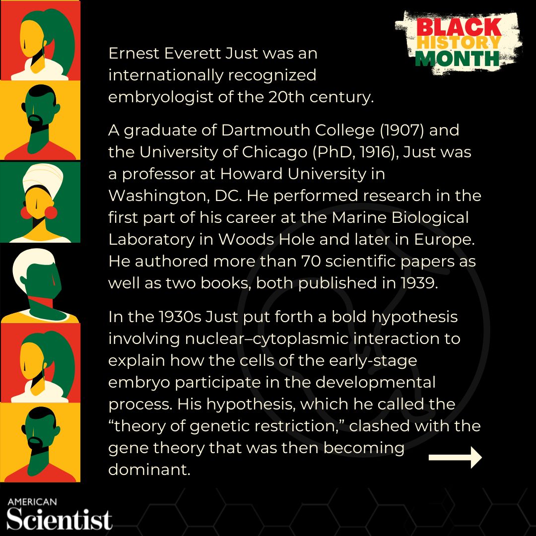 American Scientist tweet media