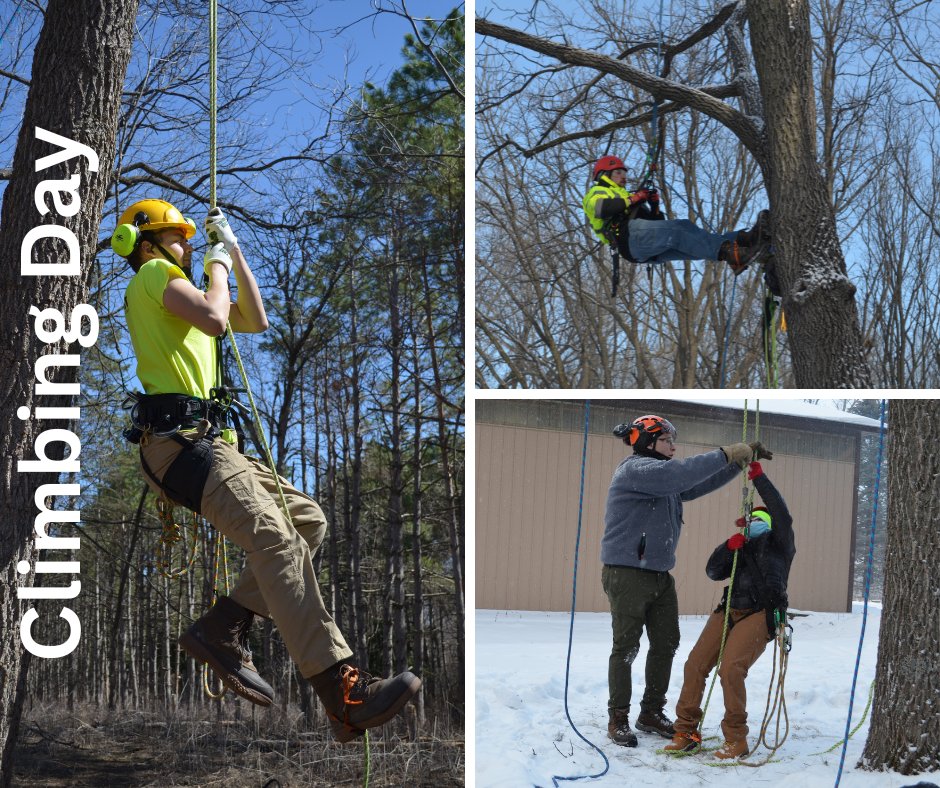 Under the mentorship of trainers, Tree Trust's YouthBuild and Branches participants gear up and ascend to astounding heights. 

#fsurbanconnections #paidtraining #skilledtrades #climbingday