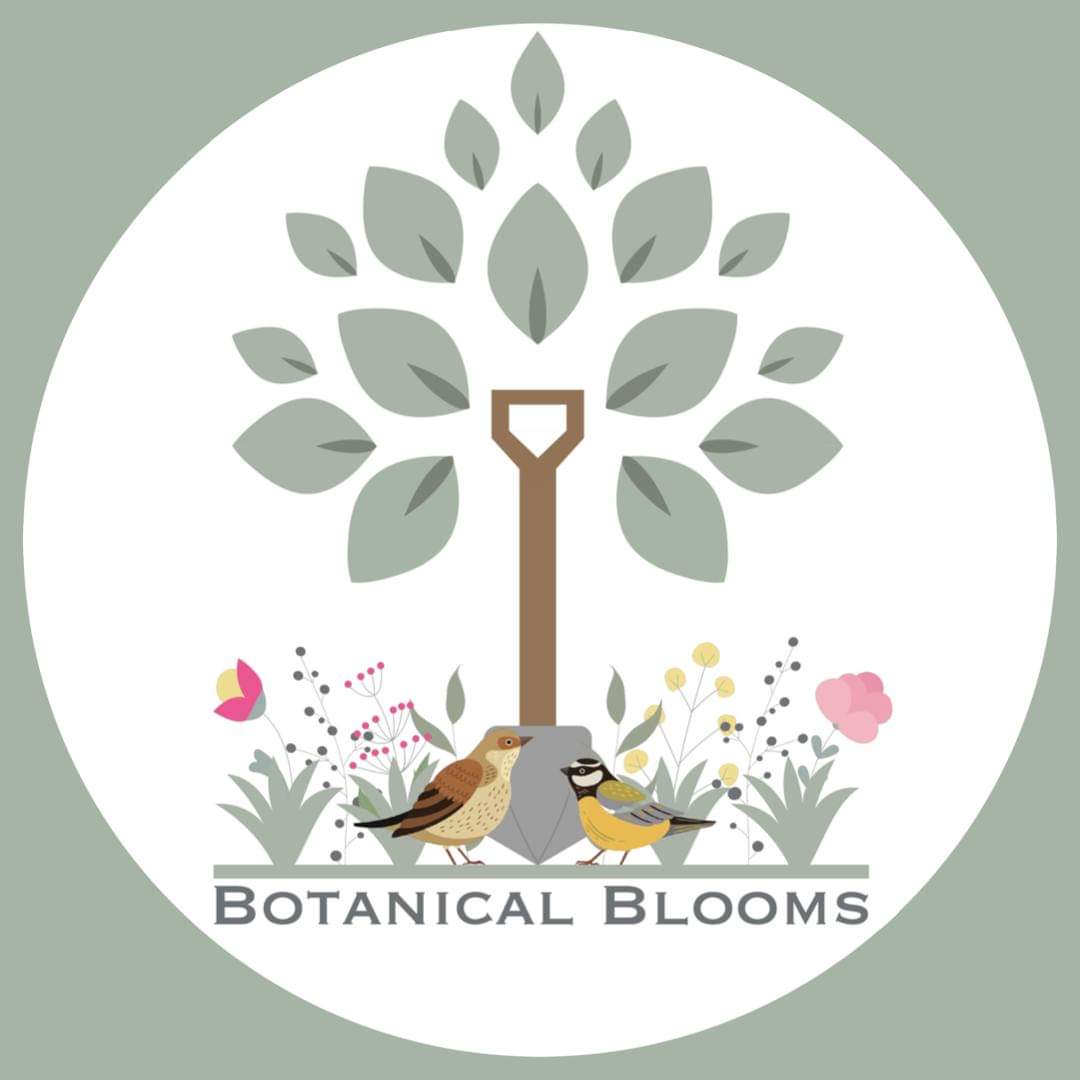 Yes, we back having found my old password! At last!!!