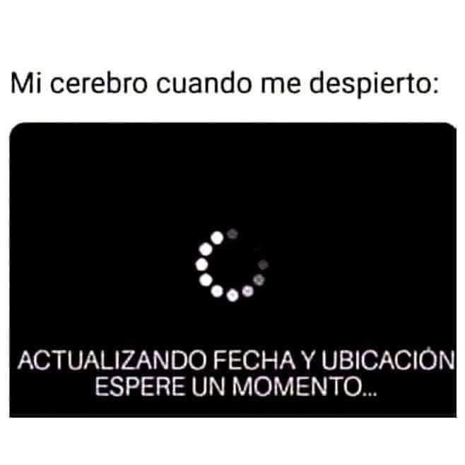 El Fedelobo tweet media