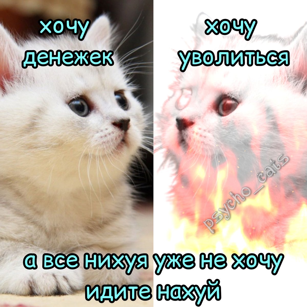 psycho__cats's tweet photo. https://t.co/nyOBWajGJM