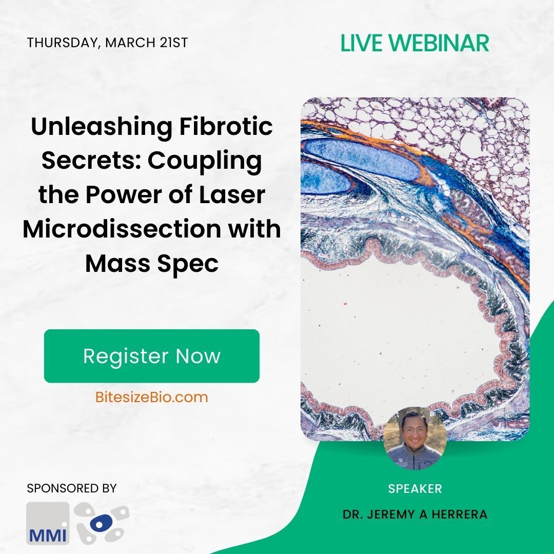 BitesizeBio's tweet photo. Dive deeper into #TissueSamples βοΈ See how to combining #LaserMicrodissection with #MassSpec lets you:
> Study heterogeneous samples
> Explore protein networks
> Identify disease hallmarks
With @mmiTeam. Register now β https://t.co/LJkqpTmwZc #SpatialProteomics #TissueResearch https://t.co/dmPBFUfZEB