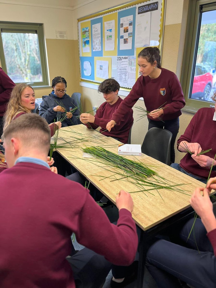 Scariff Community College tweet media