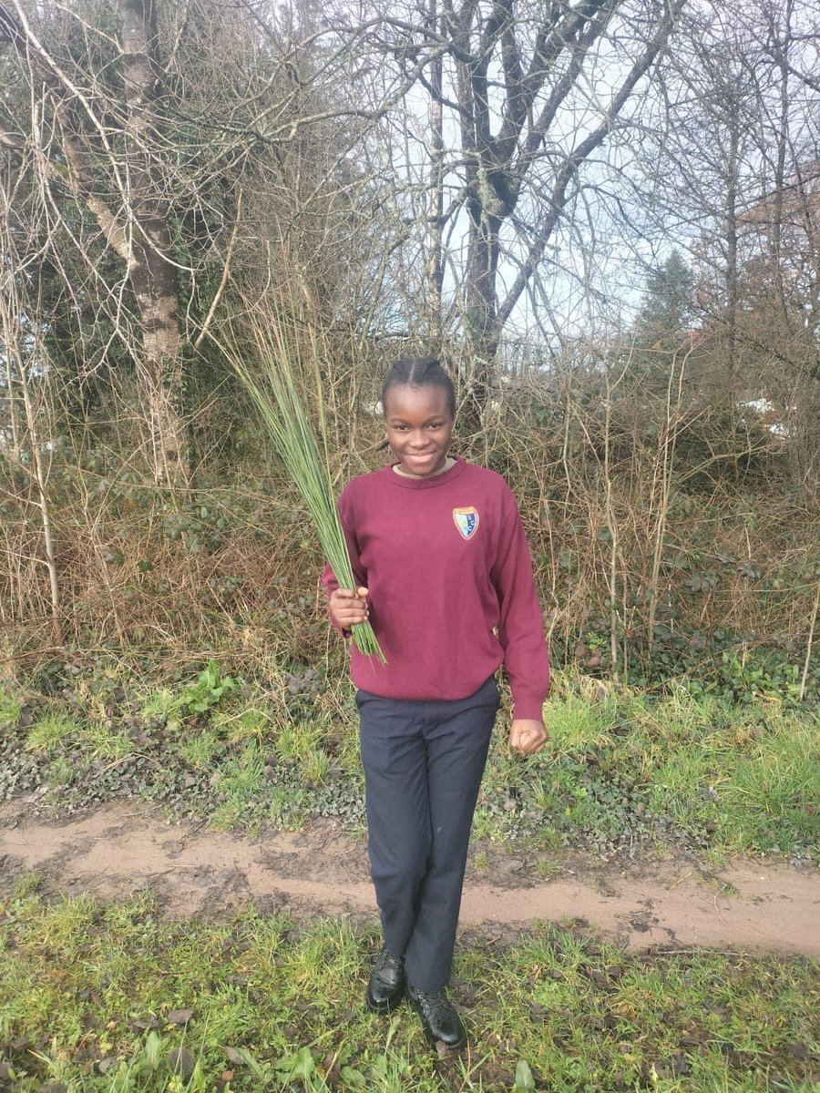 Scariff Community College tweet media