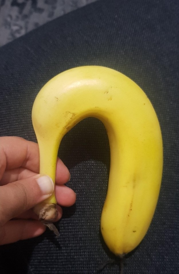 baalzamon35's tweet image. I'm tired of these apps listening to conversations. Yesterday I was discussing MT Season 2. Today, I'm getting ads for Erectile Disfunction.

#MushokuTensei 
#dissapointed