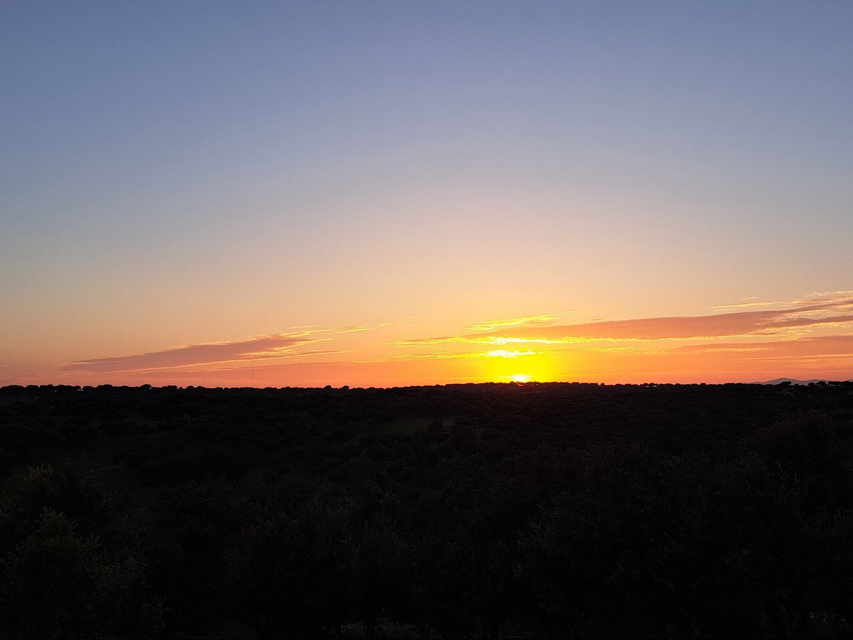 ¡Un día más! 🙌
#Atardecer #Solpor