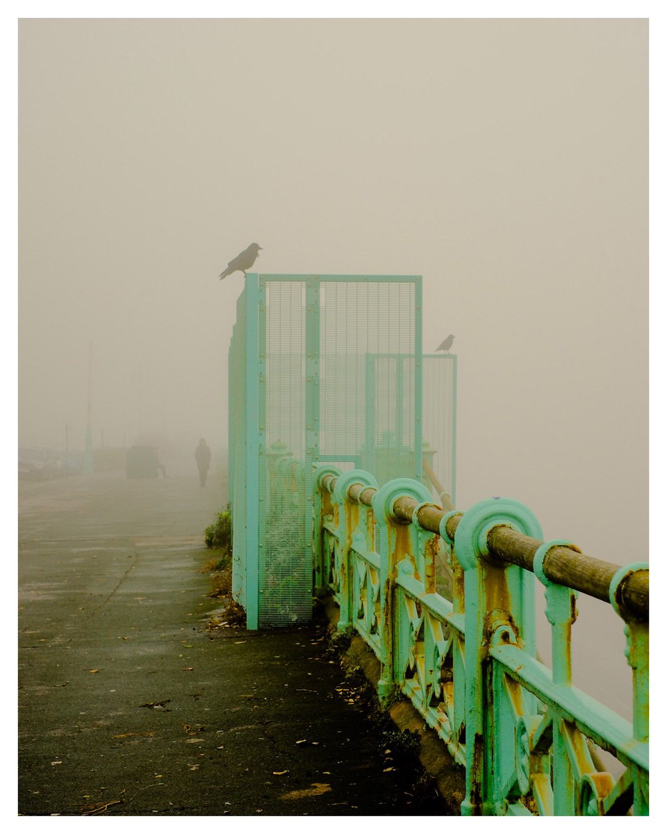 Peter Flude tweet media