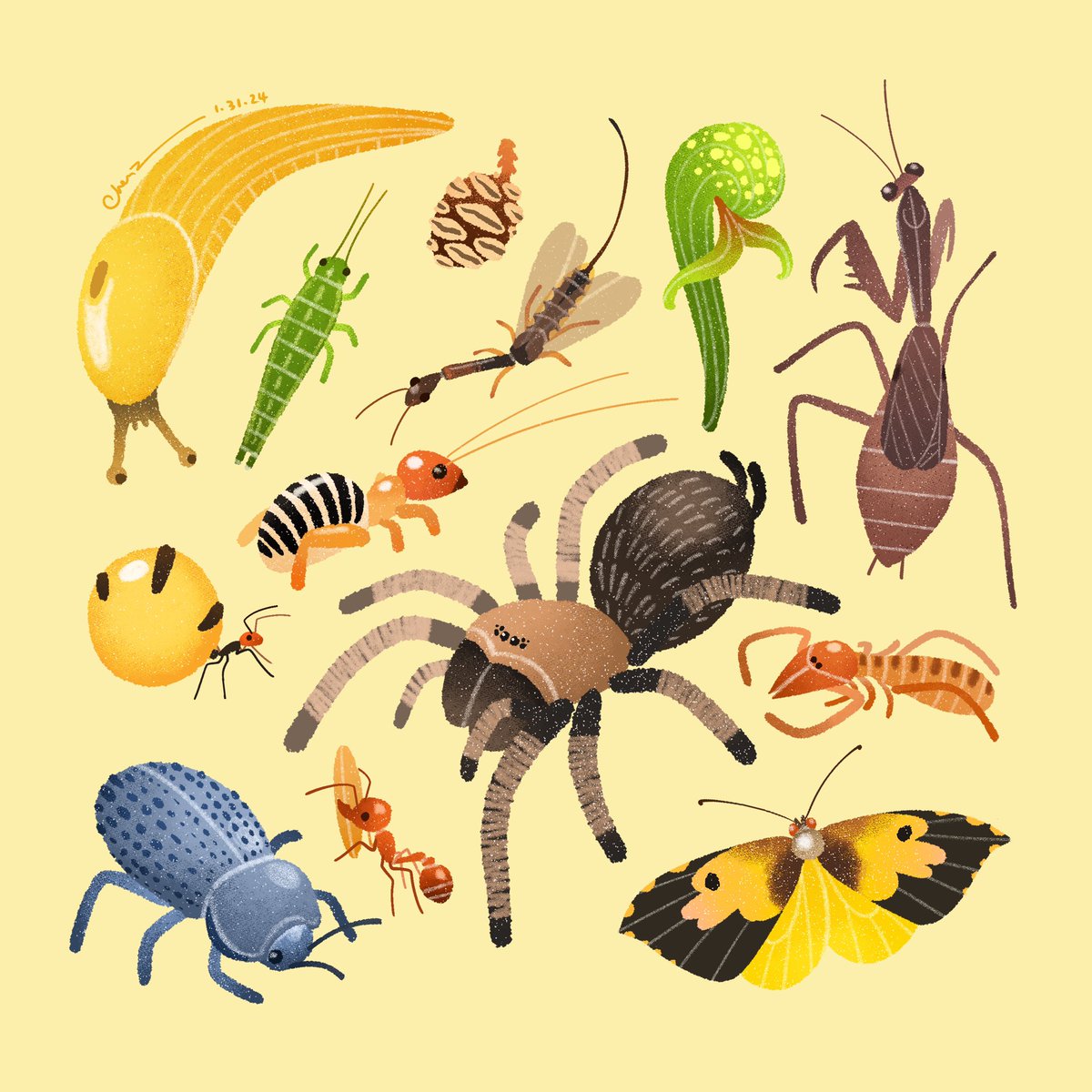 Team west coast ☀️