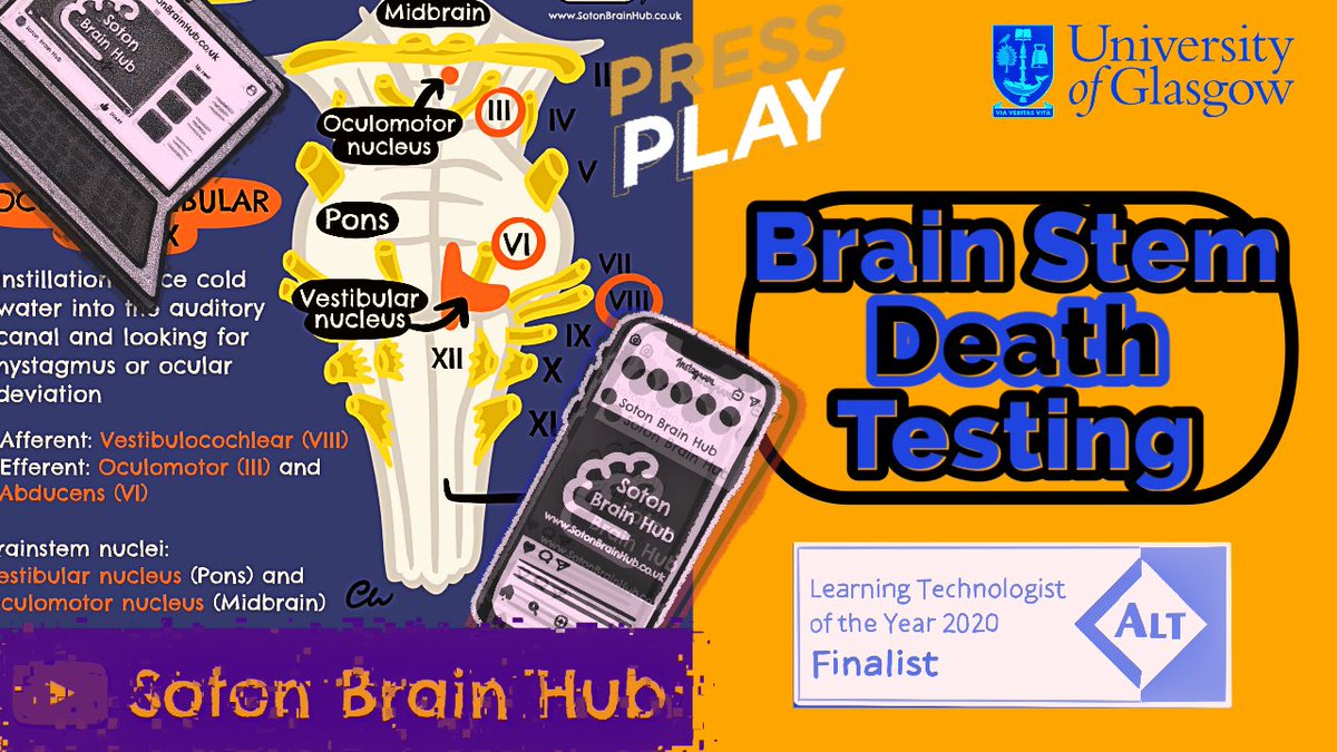 Brain Stem Death Testing is fresh out. It’s the one you have all been asking for, but it is 12 mins of all killer no filler. The audio is a bit squiffy so sorry about that, can’t win em all 😫
youtu.be/1eKe2AAnvTA <a href="/UofG_Anatomy/">Anatomy@UofG</a> <a href="/UofGMedicine/">UofG Medicine</a> <a href="/anat_soc/">Anatomical Society</a> <a href="/UoS_Medicine/">Southampton Medicine</a>