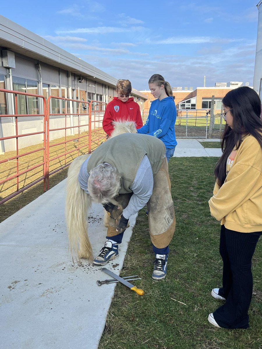 KRKester's tweet photo. We took advantage of the beautiful weather today! #Introtoanimalscience worked with the farrier to trim the horse's hooves! #advanimalscience spent additional time outside tidying the facility! @azuck1 @amystellanbc @nbc_hsprincipal @EmerMatt @NBC_FFA https://t.co/tGqduQUje8