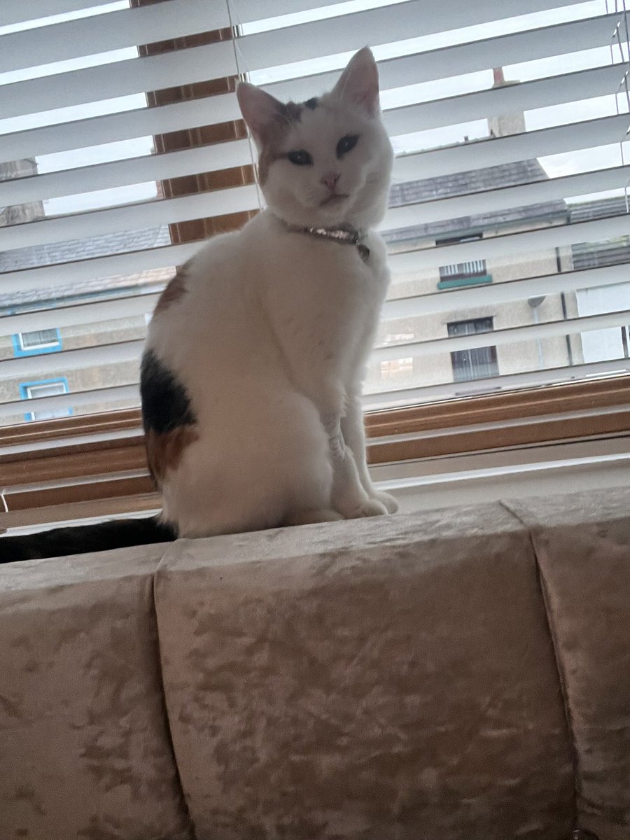 My little queen 🫅💕💕