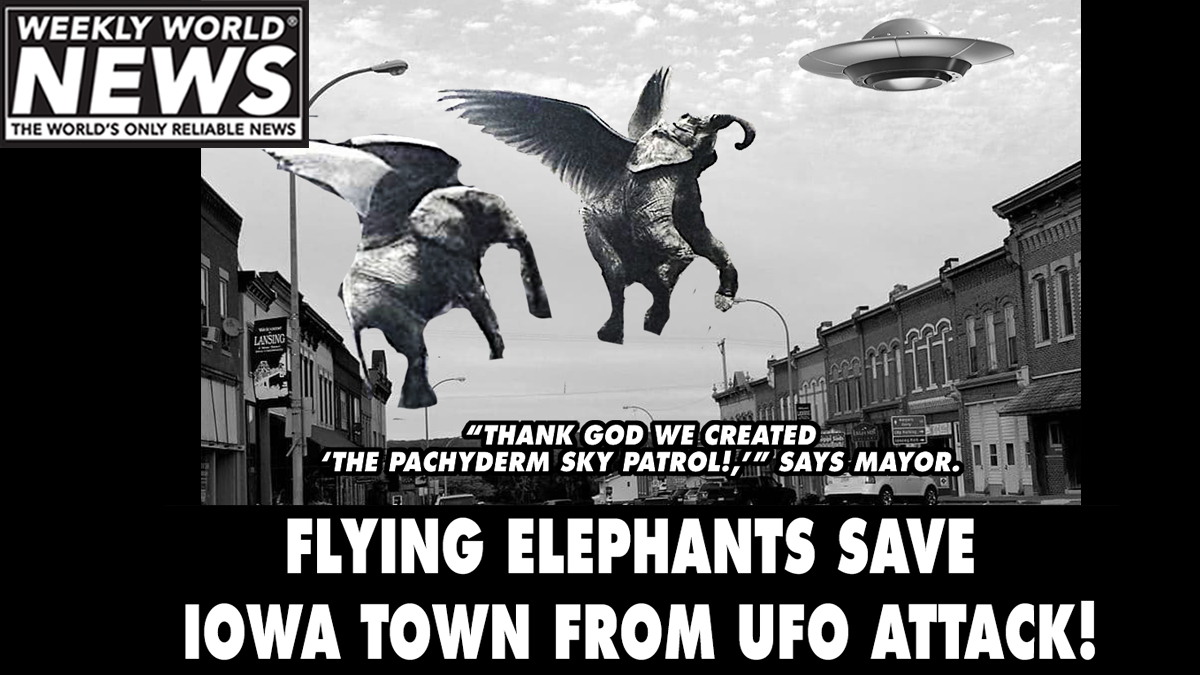 weeklyworldnews's tweet photo. "It was incredible.  We were under attack and now... well, thank God for those elephants.#elephants 

 #flyingelephants #iowatown #ufoattack #ufos #aliens #alien https://t.co/XJALC7Vari