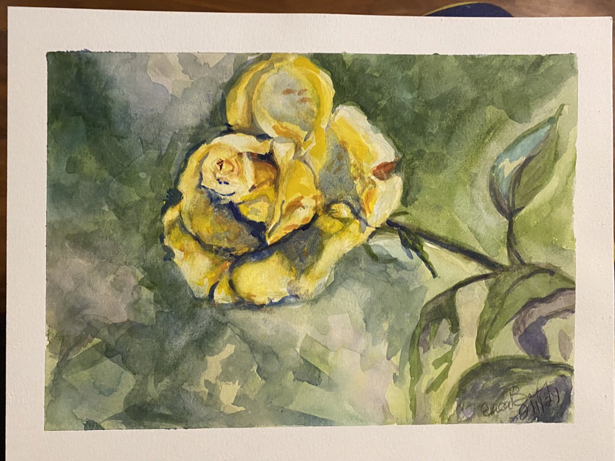 Another watercolor flower today. #watercolor #roses #yellow #yellowroses #flower #paintings