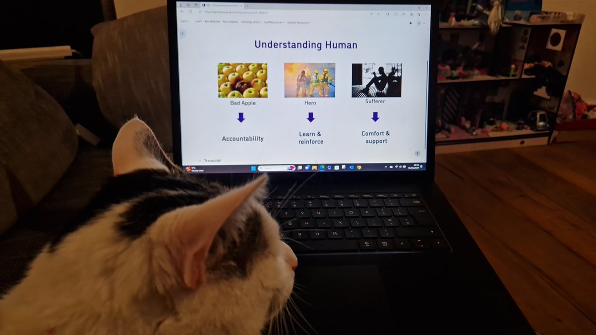 Working with the cat to understand human factors