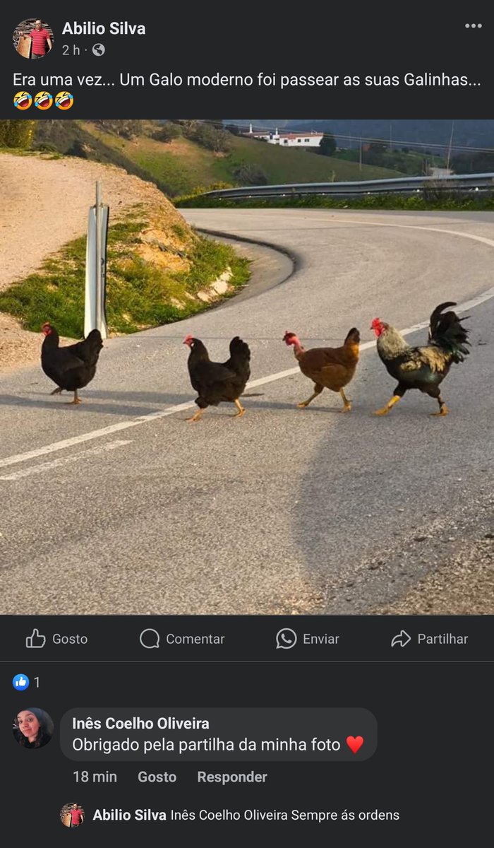 t3xuga's tweet photo. Porque é muito difícil carregar no botão de partilhar ou dar créditos. Tenho que começar a pôr assinatura nas fotos?
Devia tar a pensar que não via.
Se quiserem link para deixarem um comentário fofinho ou dar report, deixem comentário https://t.co/UU9oIgcKgH