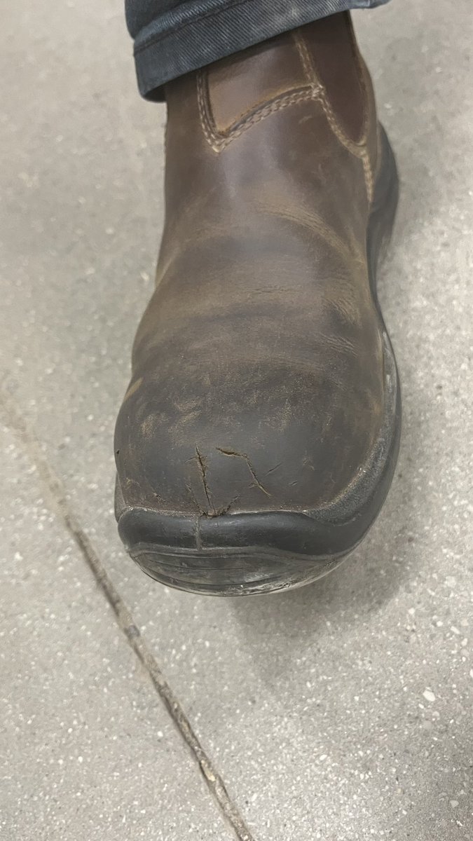 Shayna Rebecca ♈️ 🤪 tweet media