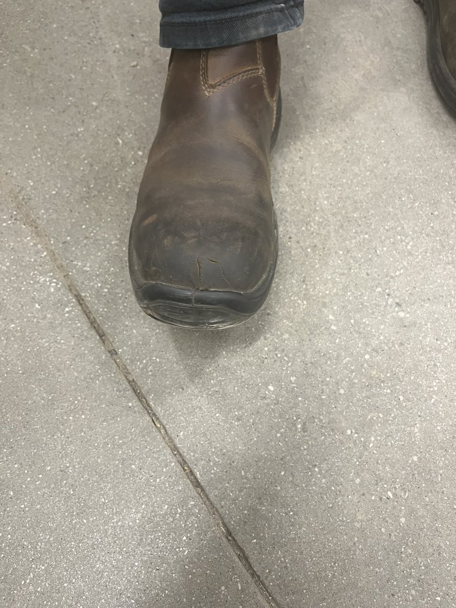 Shayna Rebecca ♈️ 🤪 tweet media