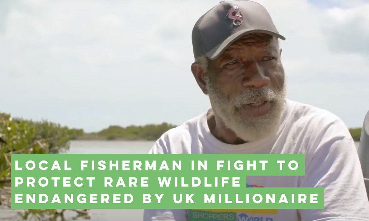TODAY: GLAN &amp; Barbudan guide George Jeffrey have filed a case against Antigua-based Development and Control Authority (DCA) over approval of a damaging project that risks rare #turtles + other wildlife nesting sites>> glanlaw.org/barbuda-wetlan… 

#Wetlands #WWD2024 #conservation