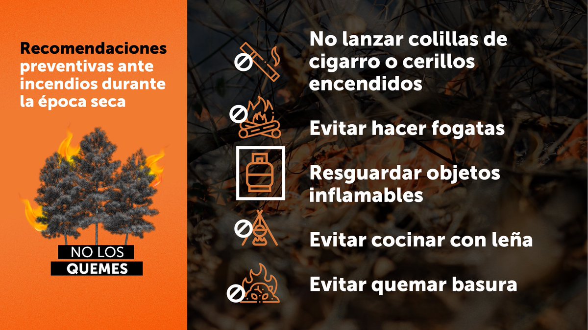 Los incendios perturban el medio ambiente ya que son una amenaza para la riqueza forestal y toda la fauna y flora que compone nuestra biodiversidad. 🌳🔥

En esta época seca toma en cuenta las siguientes recomendaciones: ⬇️