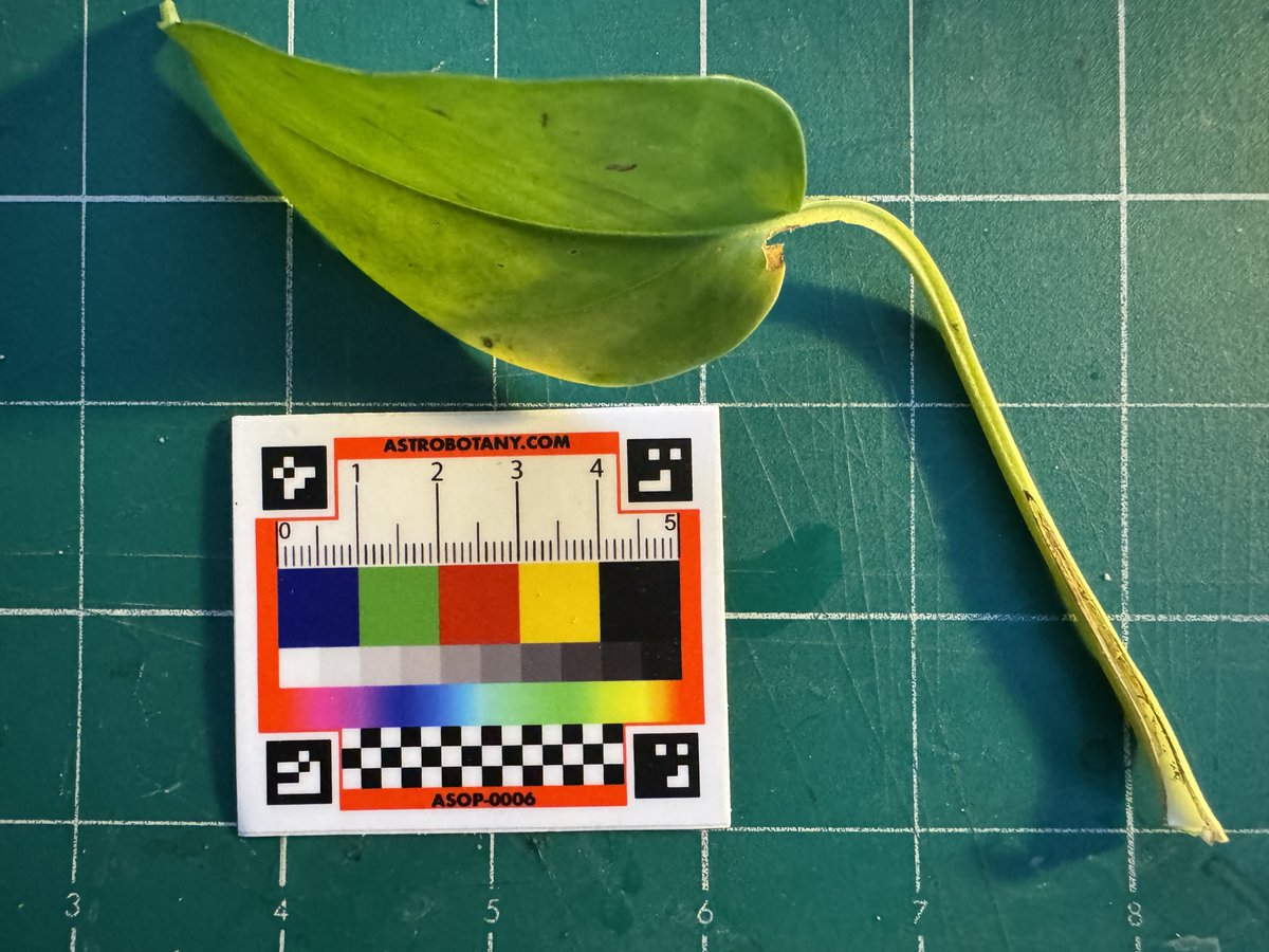 Astrobiology tweet media