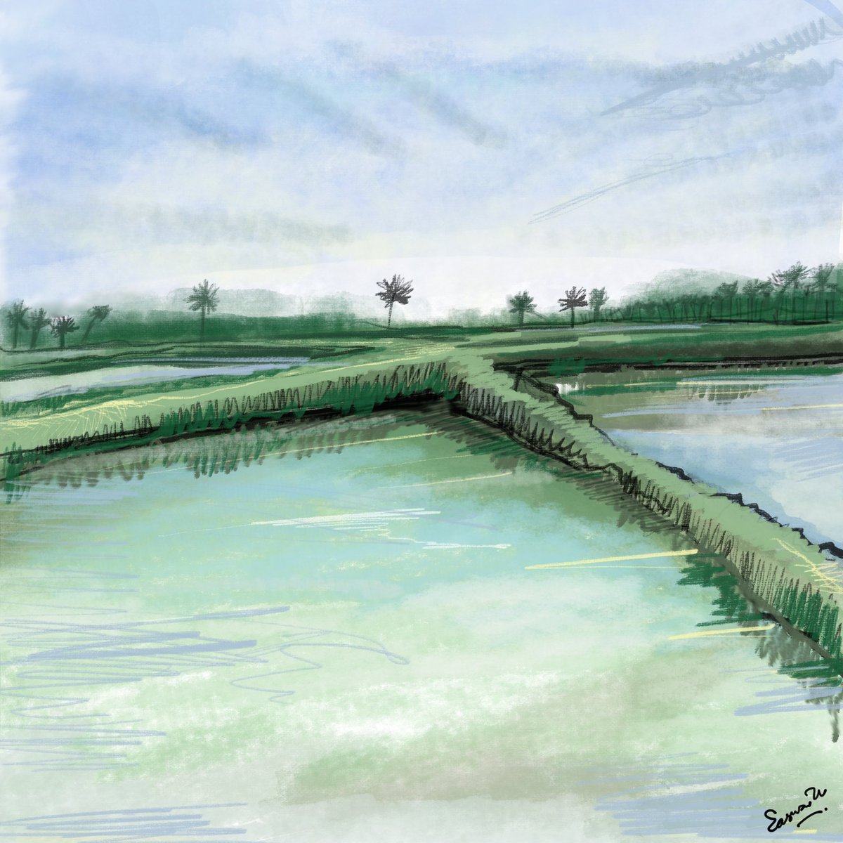 dreaswar's tweet image. #kerala #paddyfields 
#monsoon 
#art 

#ArztForACause project painting 

@AdobeDrawing 
#adobefrescodrawing