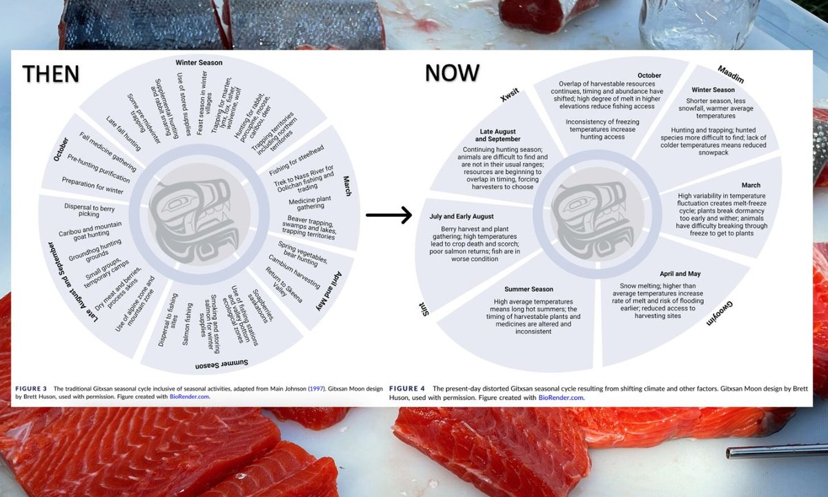 Climate change is shifting our traditional seasonal cycles as Indigenous people -  below is a figure of these 
 changes in the last few decades.

Pleased to present recent publication that develops a framework for Indigenous climate rez-ilience
Full Text: lnkd.in/g2Z9tQnA
