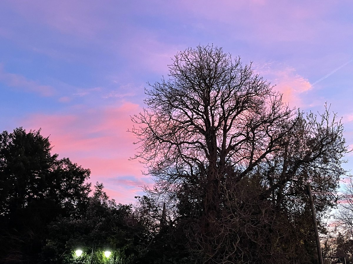 Raa Geography tweet media