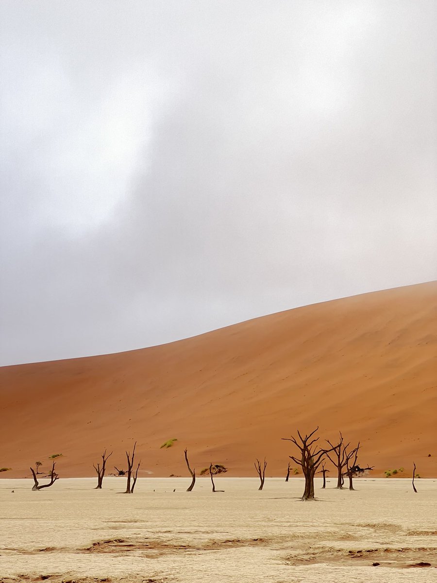 haakuji's tweet photo. DeadVlei vu que cet endroit fait toujours son effet je vais vous en parler. 
Pour moi c’est top 5 des plus beaux endroits que j’ai vu sur Terre. https://t.co/jXyUpxEkwf