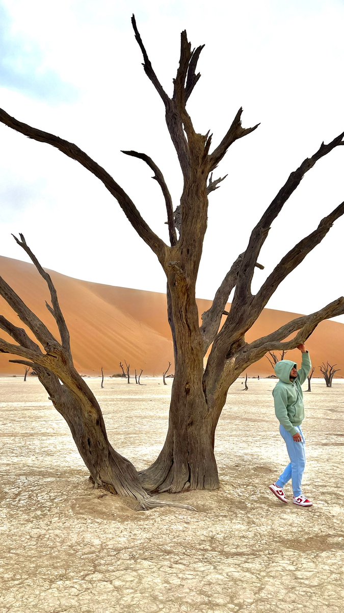 haakuji's tweet photo. DeadVlei vu que cet endroit fait toujours son effet je vais vous en parler. 
Pour moi c’est top 5 des plus beaux endroits que j’ai vu sur Terre. https://t.co/jXyUpxEkwf