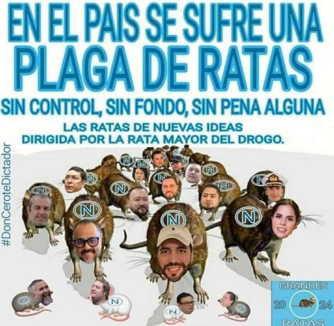 Vanher Or 🚫NO A LA MINERÍA tweet media