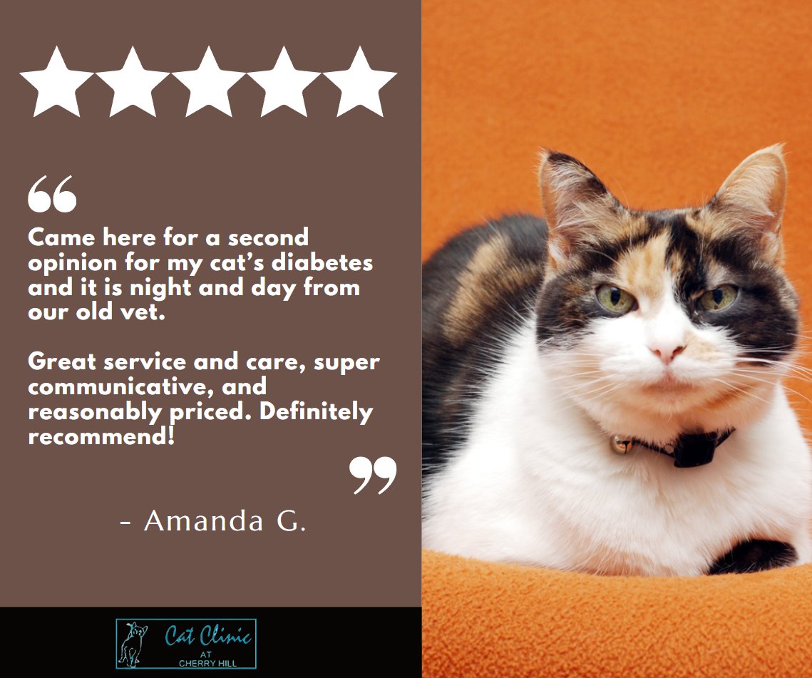 We're so grateful when families like Amanda's notice the dedication we put into every aspect of care at The Cat Clinic at Cherry Hill!

From providing thorough #SecondOpinions to ensuring our communication is clear and pricing fair, your pet's health is our top priority. 🐾
