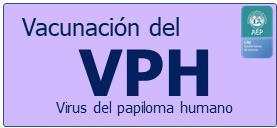 ANDALUCÍA: PRIMERA COMUNIDAD EN ADOPTAR LA VACUNACIÓN DEL VIRUS DEL PAPILOMA CON 1 SOLA DOSIS. Este cambio viene avalado por numerosos estudios que han demostrado la no inferioridad de la pauta de dosis única comparada con las de 2 o 3 dosis, que han sido el estándar hasta ahora.