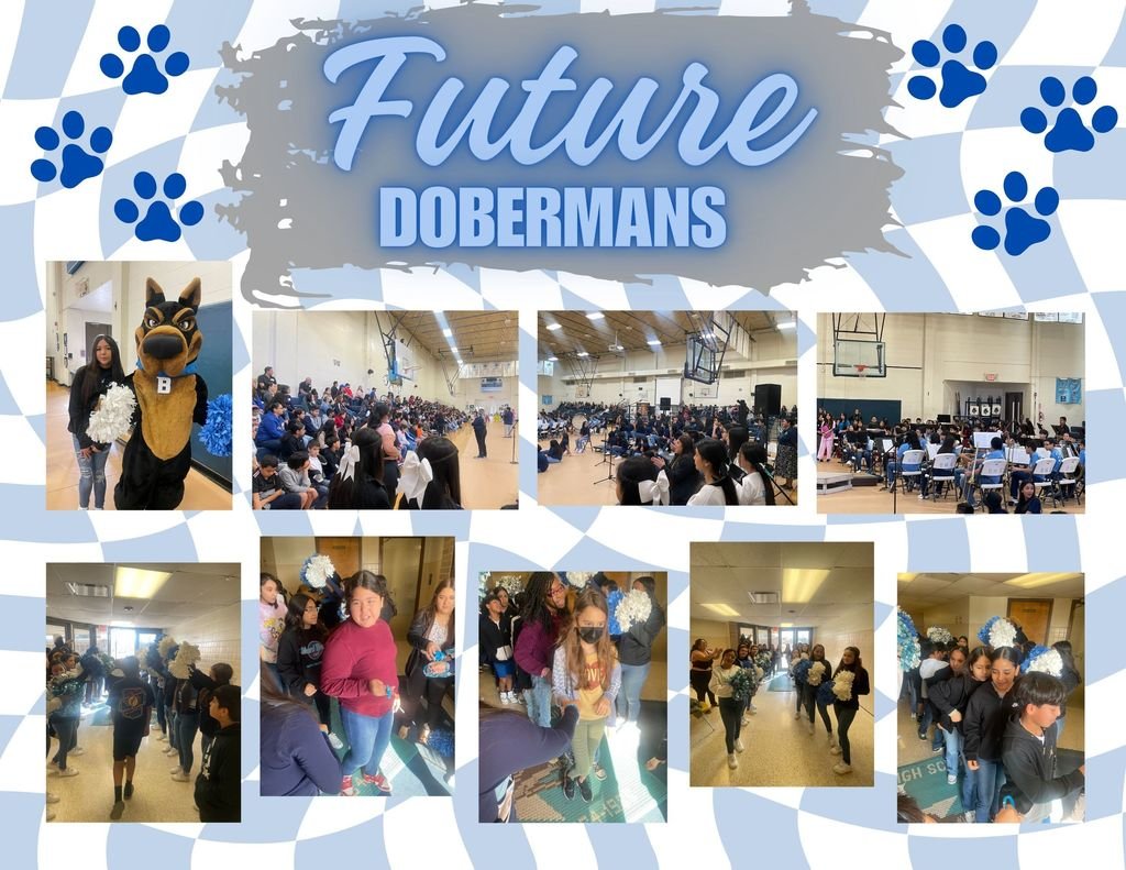 🐾💙 It was great to see our future Dobies at our Fine Arts recruitment! 💙🐾 #FutureDobermans #DobiePride