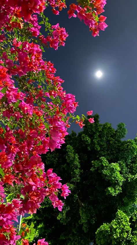 xsq333's tweet photo. سلاماً لــمـــــــــــن يملكون جــمــال الـــــروح 
وصفاء النية ولا تعرف قــلــوبـهم سوى الــوفــــــــاءَ…

بعض القلوب النادره تشبه الورد
لا زارها أحساس المحبه رواها https://t.co/8K7PTyptbB
