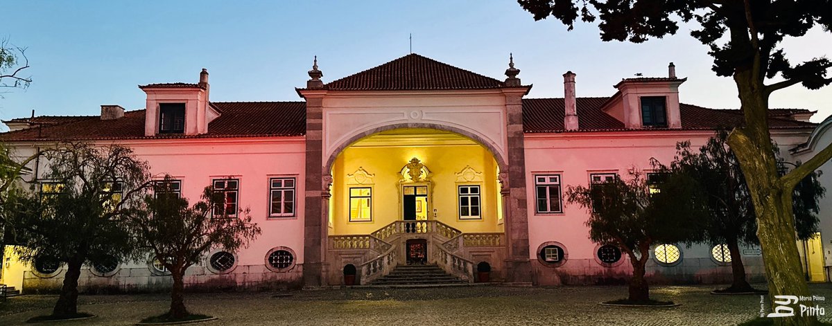 Bilingual Curriculum at St Julian's School tweet media